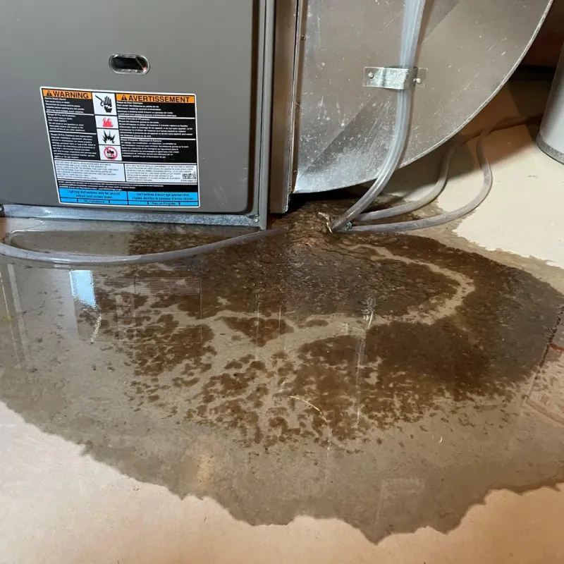 Appliance Leak Cleanup in Carrabelle, FL